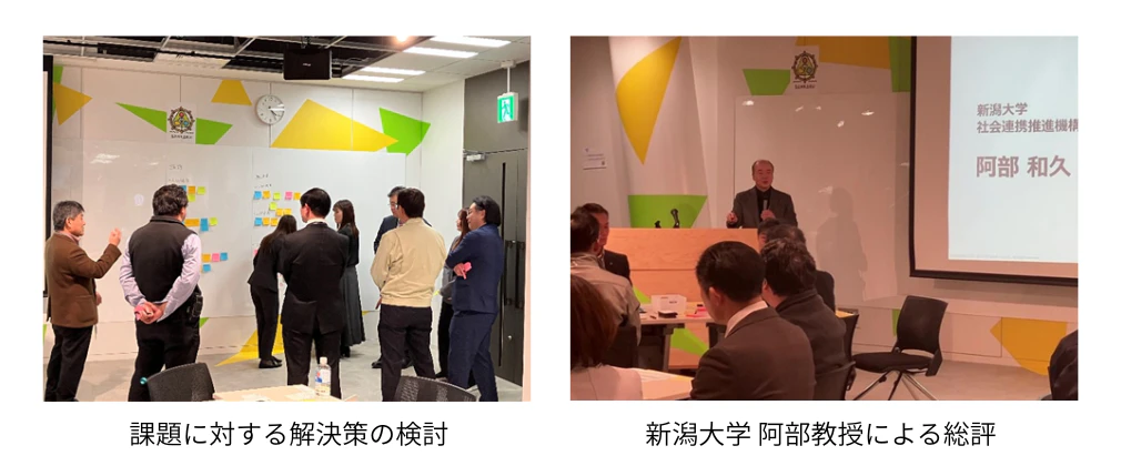 ３．実施模様